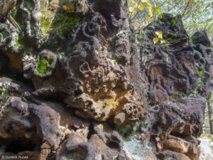 Víšek - proželezněný pískovec