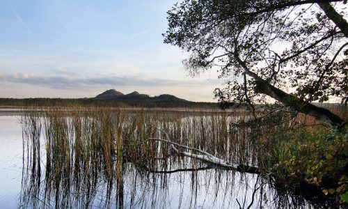 Břehyňský rybník