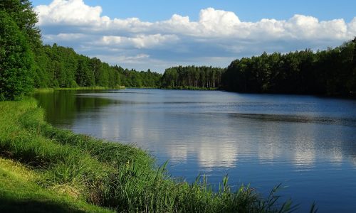 Hradčanský rybník