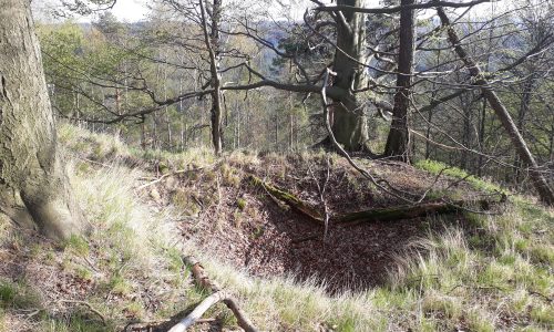 Na Hamerském Špičáku