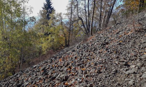 Ralsko - suťové pole