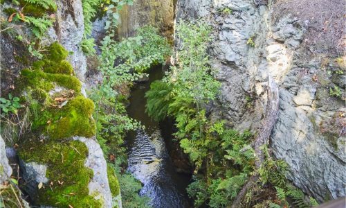 Břehyňská průrva