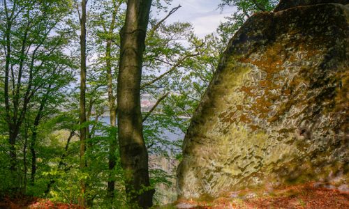 Děvín - detail zdi u bašty