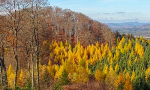 Výhled z Velké Bukové