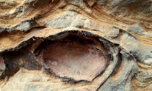 Hamerský Špičák - železité růže